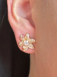 Brinco Estrela Mar Zircônia Prata 925 Ouro 18 K