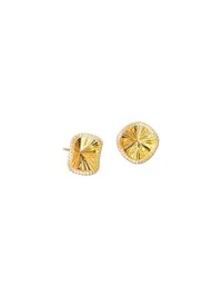Brinco vitória régia borda cravejada Prata 925 Ouro18k