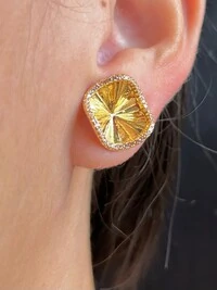 Brinco vitória régia borda cravejada Prata 925 Ouro18k