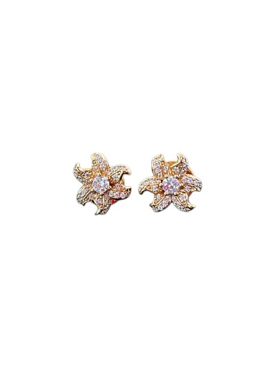 Foto Brinco Estrela Mar Zircônia Prata 925 Ouro 18 K