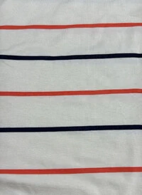 BLUSA LISTRADA LT2