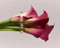 Bracelete Maica