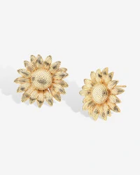 Brinco SunFlower Clean