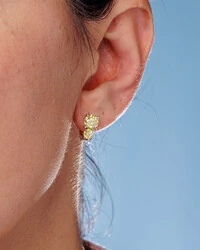 Brinco Argola Moissanite Melody - Prata 925