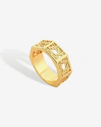 Anel Geometric