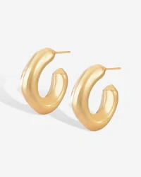 Brinco Argola Acetinada Lara