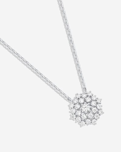 FotoColar Chuveirinho