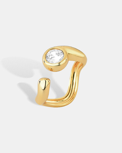 Foto Anel Regulável Luzi