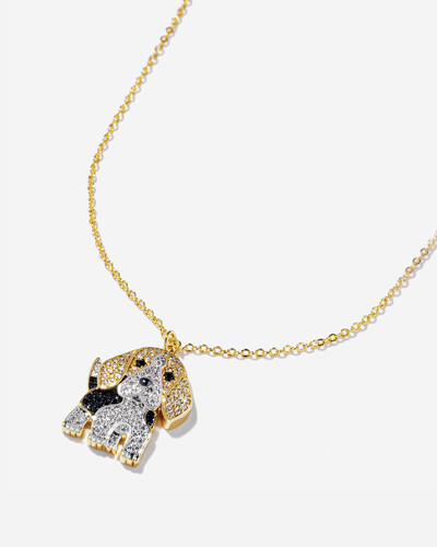 Foto Colar Duo Beagle