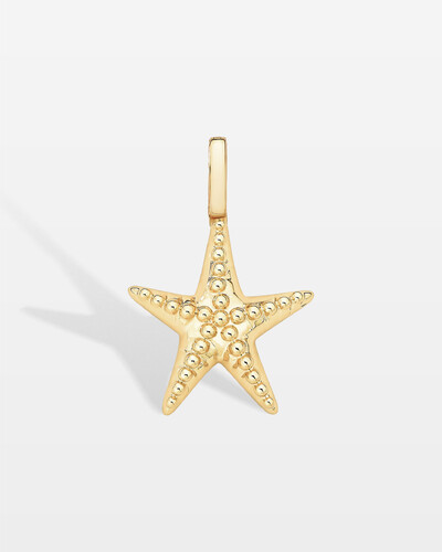 Foto Pingente Estrela do mar