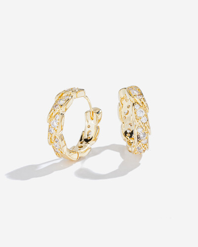 Foto Brinco Argola Francis - M