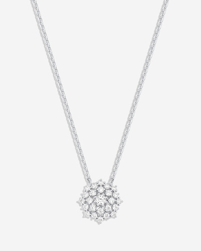 Foto Colar Chuveirinho