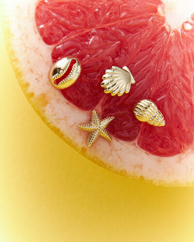 FotoBrinco Mini Caracol