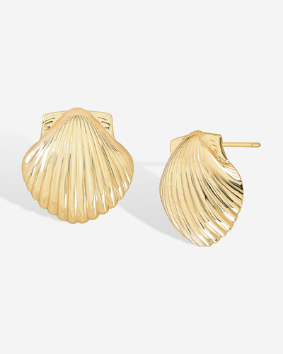 Foto Brinco Vieira Shell