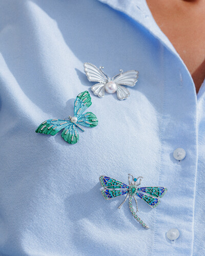 Foto Broche Borboleta