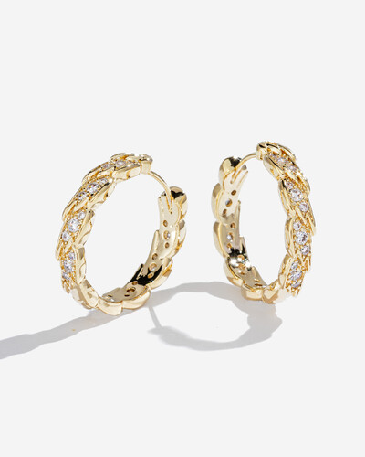 Foto Brinco Argola Francis - G