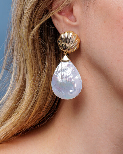 FotoBrinco Concha Madre