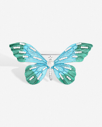 Foto Broche Borboleta