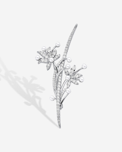 Foto Broche Ramo De Flores
