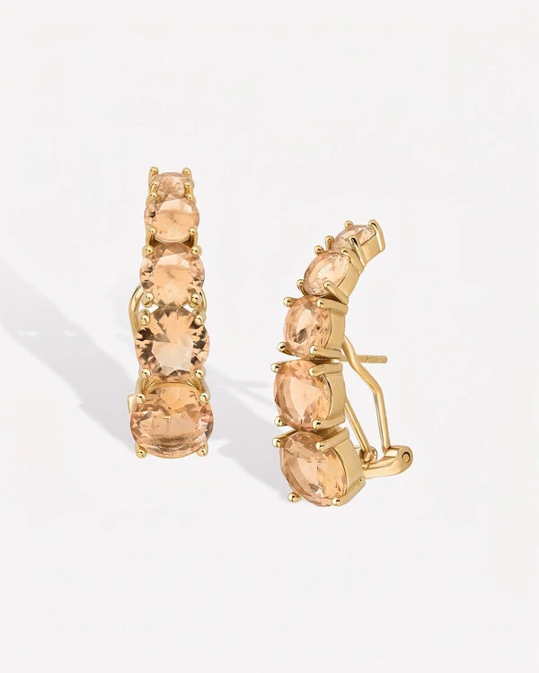 Brinco Ear Hook Leticia Gold