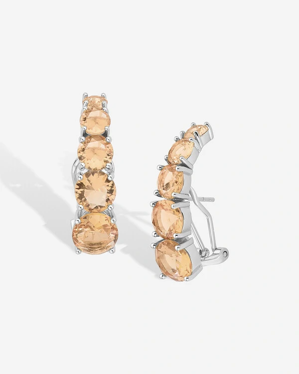 Brinco Ear Hook Leticia Silver