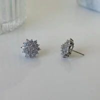 Brinco Tayla cravejado com zircônias prata 925