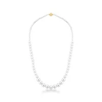 Colar Hazel pérolas shell ouro