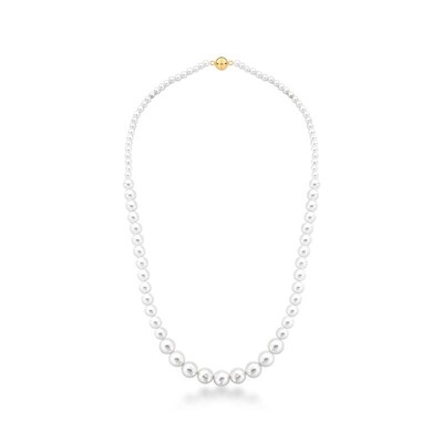 Foto Colar Hazel pérolas shell ouro