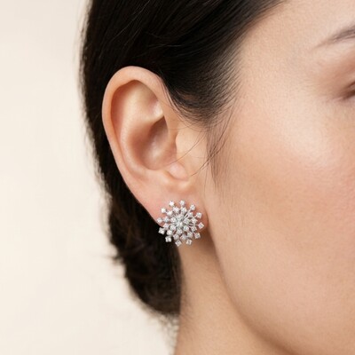 FotoBrinco Aster Moissanite prata 925