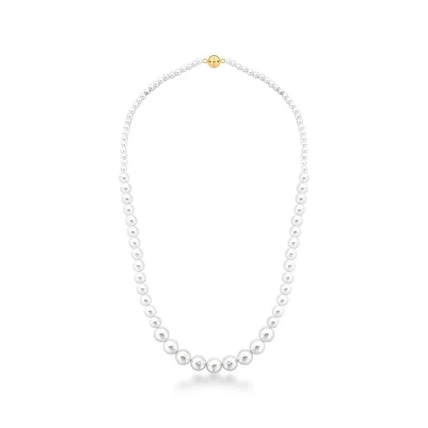 Colar Hazel pérolas shell ouro