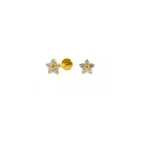 Piercing Labret Titânio PVD Flor Cinco Pétalas