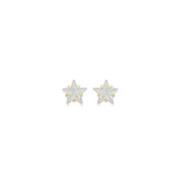 Brinco Estrela Ouro