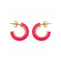 Argola Pink Média
