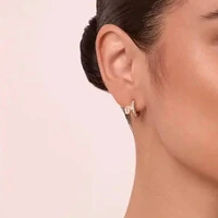 Argola Elegance Cravejada Prata 925