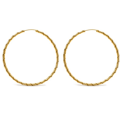 Foto Argola Espiral G