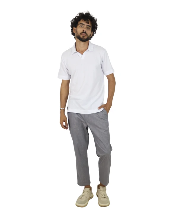 Polo V 