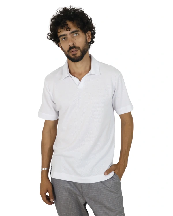 Polo V 