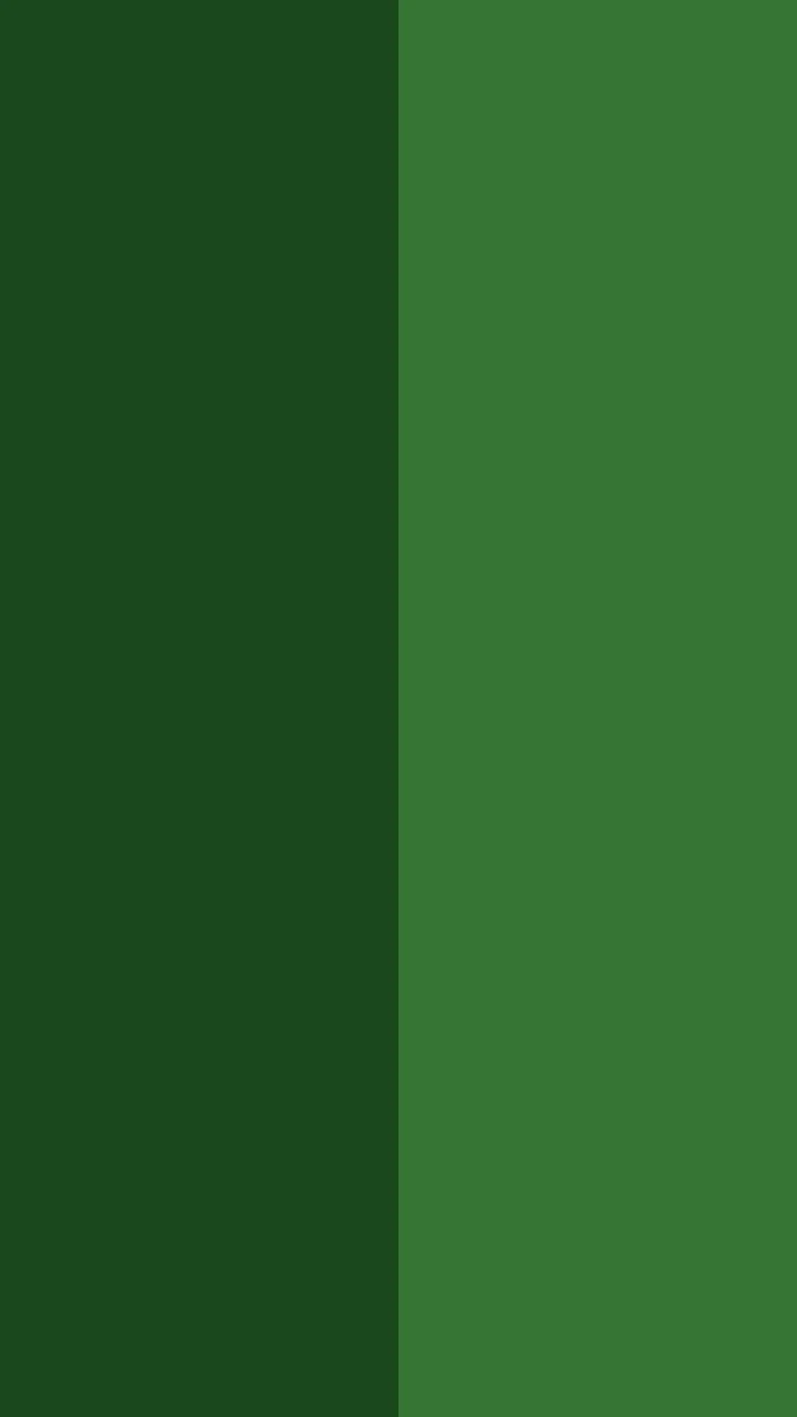 Verde claro/Verde escuro
