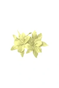 Broche Amarilis