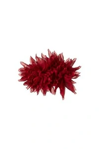 Broche Crisântemo