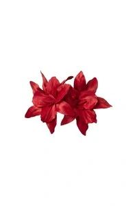 Broche Amarilis