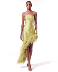 Vestido New Ana Plumas