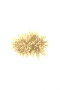 Broche Crisântemo