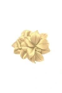 Broche Violeta