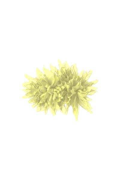 Foto Broche Crisântemo