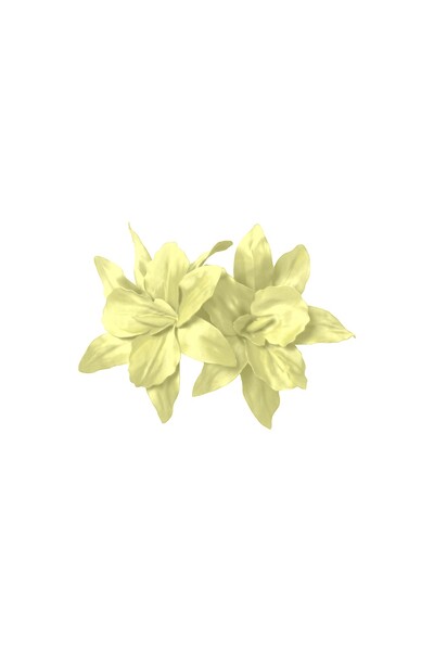 Foto Broche Amarilis