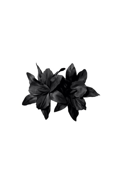 Foto Broche Amarilis