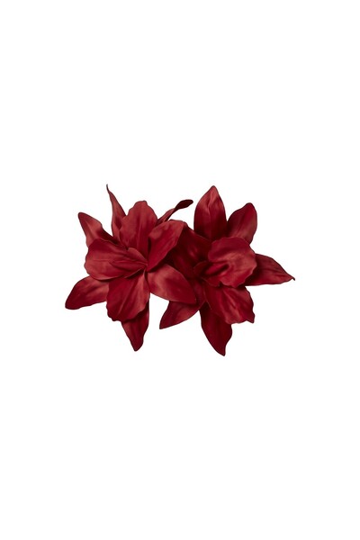 Foto Broche Amarilis