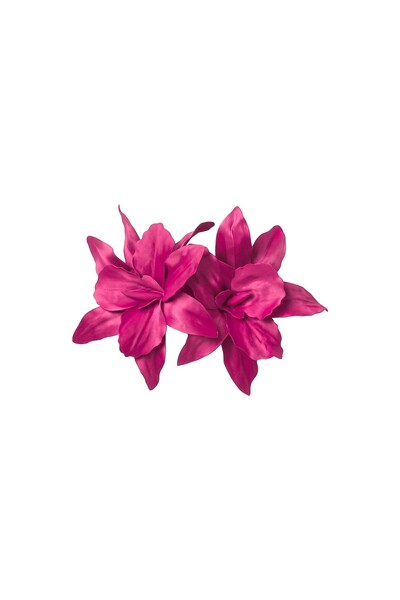 Foto Broche Amarilis