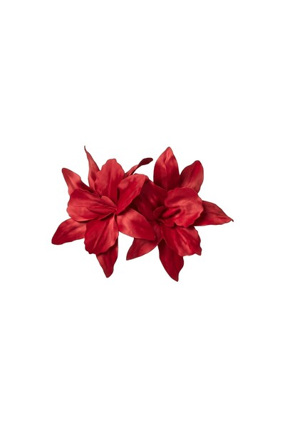 Foto Broche Amarilis